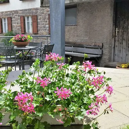 Haus Martin *